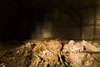 Knochen in den Katakomben des Stephansdoms