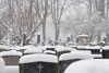 Zentralfriedhof im Winter II