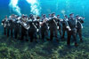 Submarine Band - War ein Wettbewerb auf worth1000. Das Bild von der Musikkapelle war Vorgabe, damit es etwas zu tun